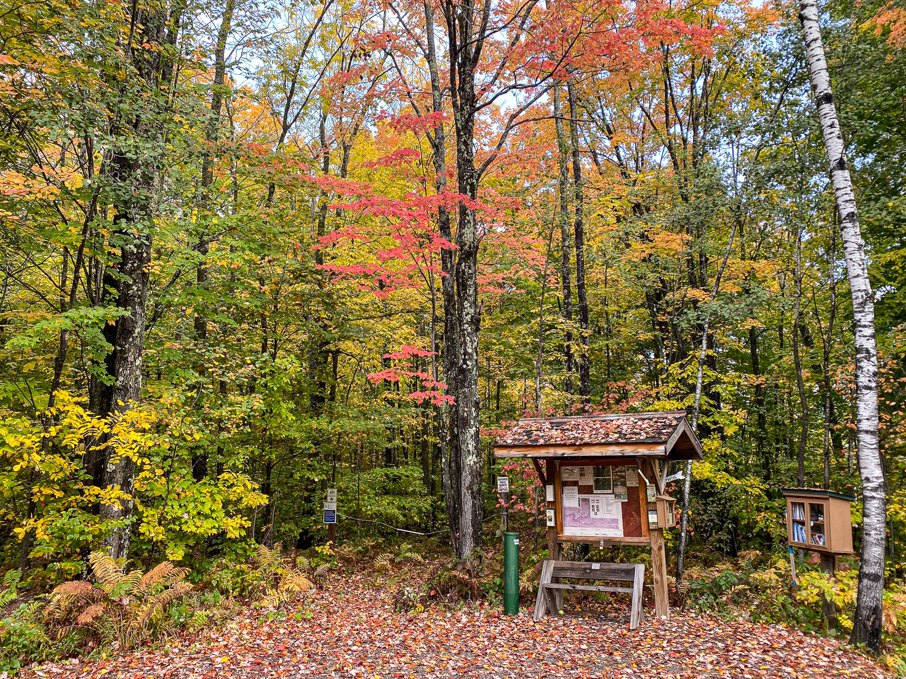 Forest in autumn colors with a wooden information kiosk/bulletin board in the foreground and fallen leaves on the ground.